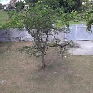 Petit Cocon , Les Abymes Guadeloupe